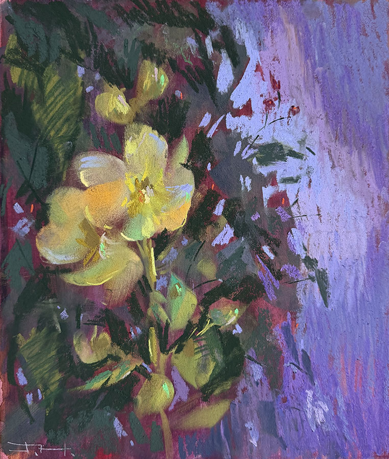 Midnight Garden
