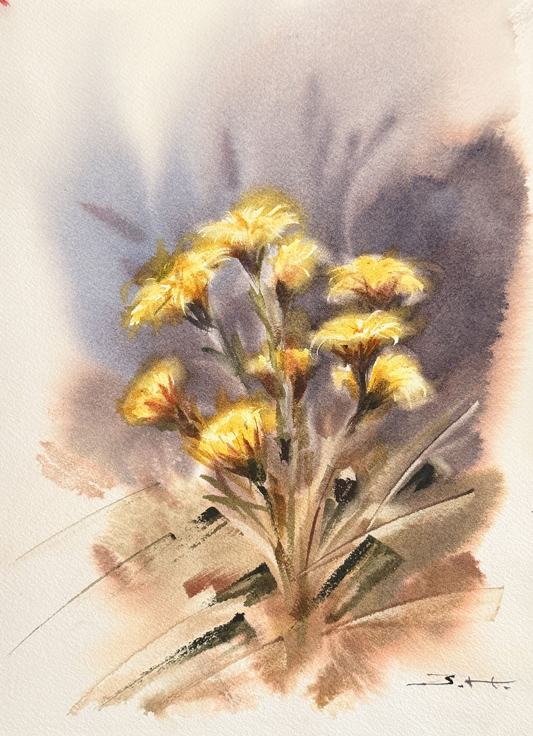 Twilight Wildflowers